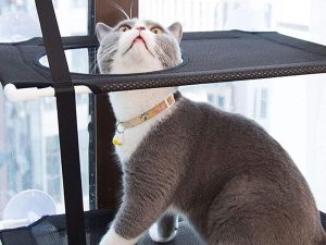 Waterproof Fabric Cat Hammock Bed