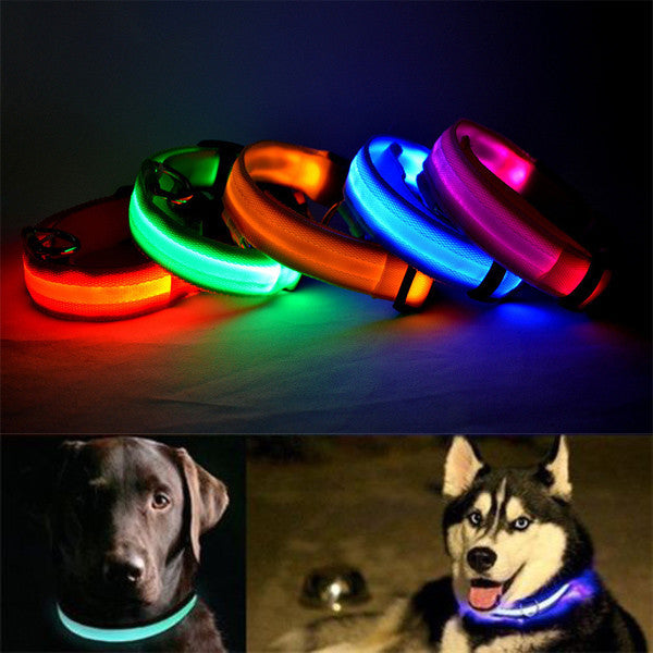 Led Light Dog Collar - Image 2