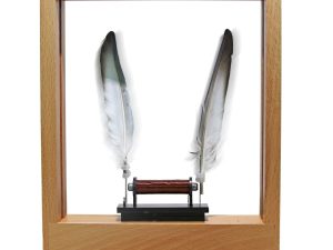 Slow Motion Frame LED Desktop Decor