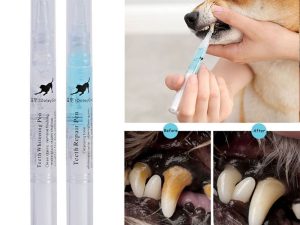 Dog Tooth Scaler and Cleaning Pen