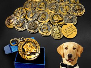 Unique Personalized Engraved Pet Cat Dog ID Tag