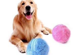 Interactive Dog Ball