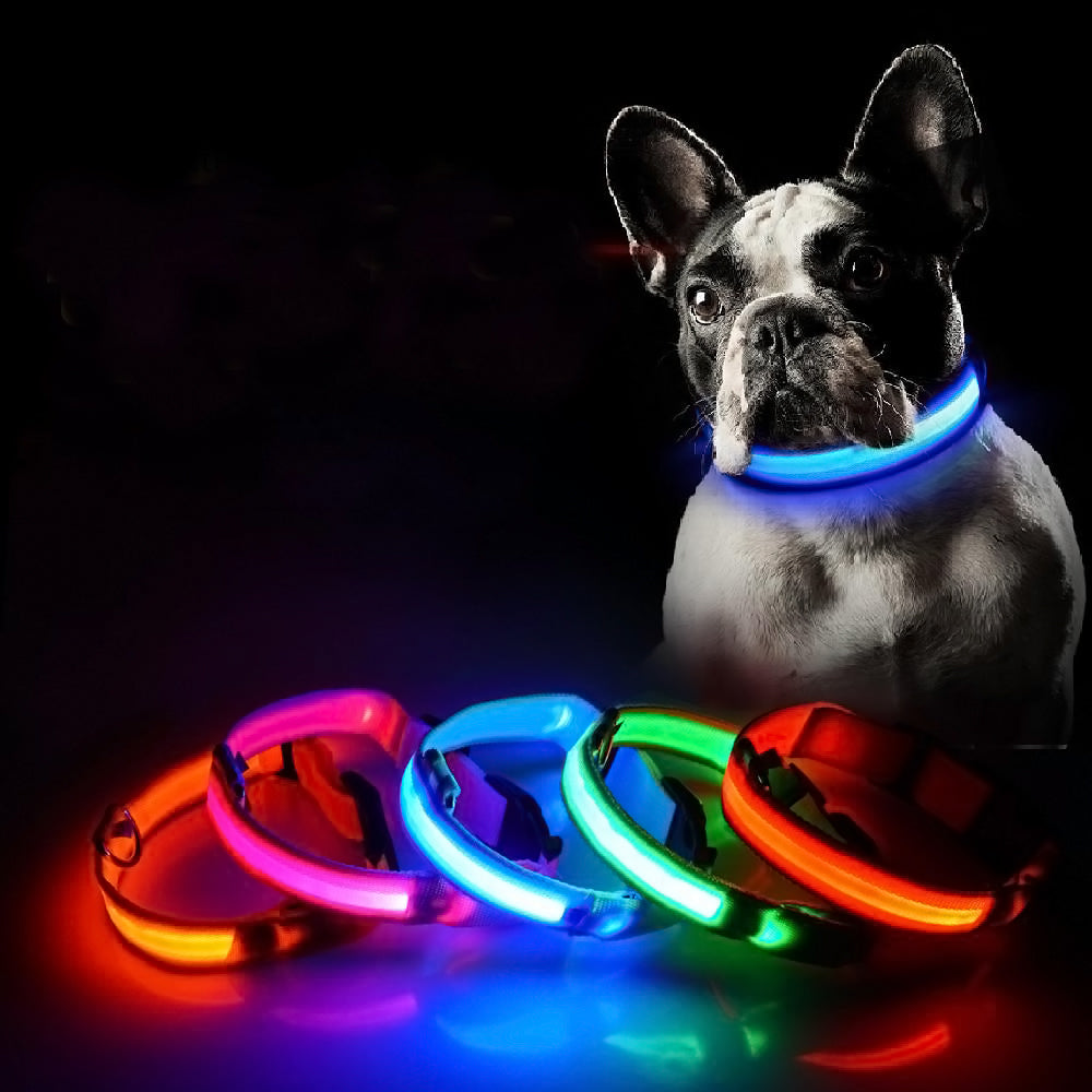 Led Light Dog Collar - Image 3