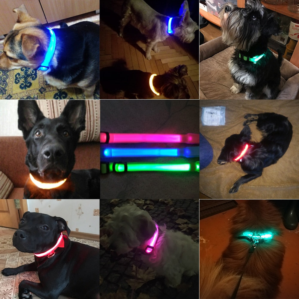 Led Light Dog Collar