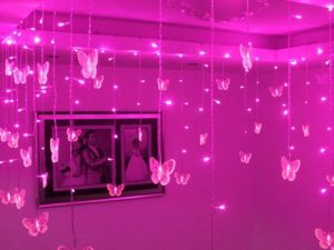 3.5m Butterfly Festival Holiday Christmas Wedding LED String Strip